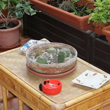 萨巴拜奥拉旅馆 3*