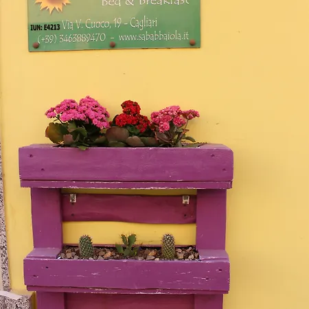 住宿加早餐酒店 萨巴拜奥拉旅馆 3*